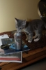 DSC_1660.JPG