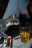 DSC_1663.JPG