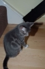DSC_1664.JPG