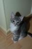 DSC_1665.JPG