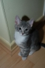 DSC_1666.JPG