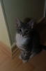 DSC_1668.JPG