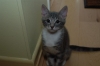 DSC_1669.JPG
