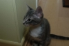 DSC_1671.JPG