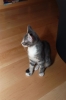 DSC_1673.JPG