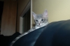 DSC_1676.JPG