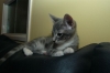 DSC_1677.JPG