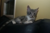DSC_1678.JPG