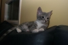 DSC_1679.JPG