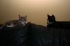 DSC_1680.JPG