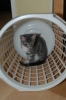 DSC_1686.JPG