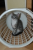 DSC_1687.JPG