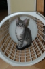 DSC_1688.JPG