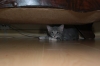 DSC_1691.JPG