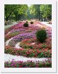 CIMG1456 * 576 x 768 * (93KB)