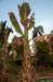 _djd8963_small.jpg