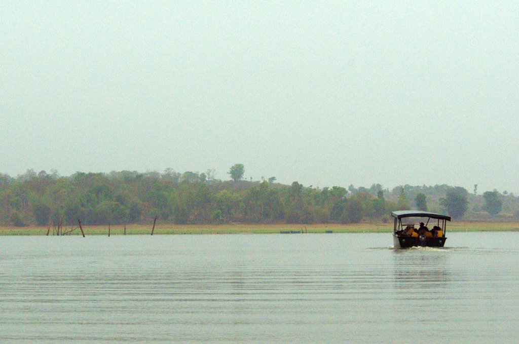 _djd9263.jpg