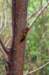 _djd9305_small.jpg