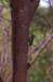 _djd9309_small.jpg