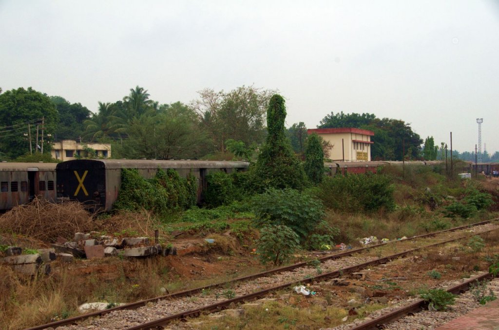 _djd9349.jpg