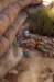 _djd9598_small.jpg