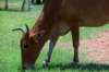 _djd9671_small.jpg