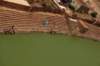 _djd9855_small.jpg