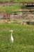 _djd9929_small.jpg