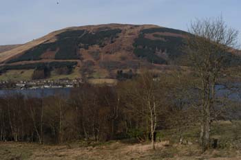 DSC_1900