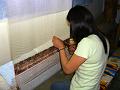 CIMG0361 * A rug making place.... * 1024 x 768 * (179KB)