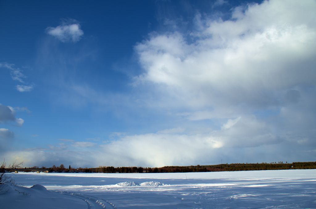 _DJD3556