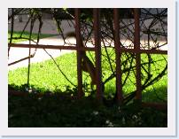 CIMG0434 * 3072 x 2304 * (3.71MB)