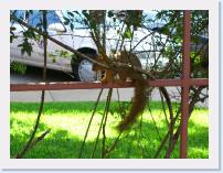 CIMG0441 * 3072 x 2304 * (4.51MB)